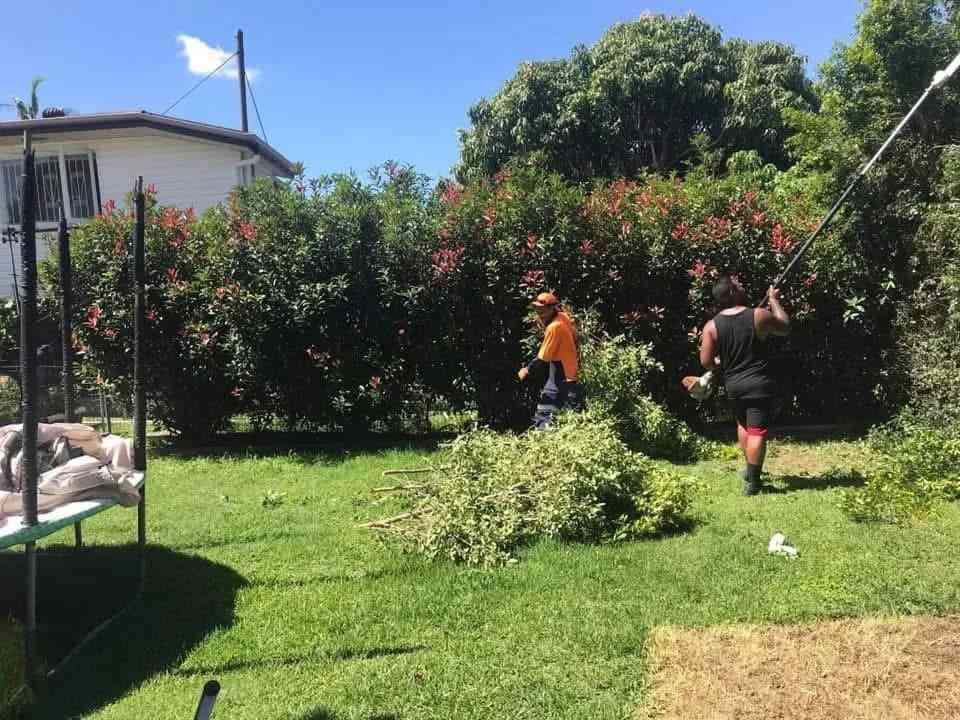 hedge trimming forestdale
